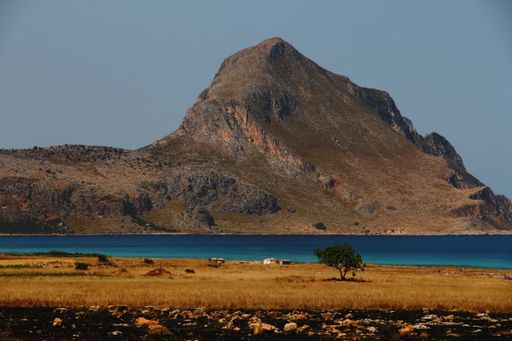 A dry grassy field with a tree near the water with a mountain in the distance and a clear sky in the background