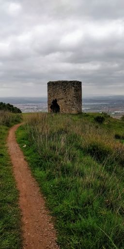 A vertical shot of a trail leading to old ruins on a grassy meadow under a gloomy sky