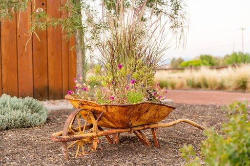 A closeup shot of flowers and plants in a rusty yellow wheelbarrow in a yard
