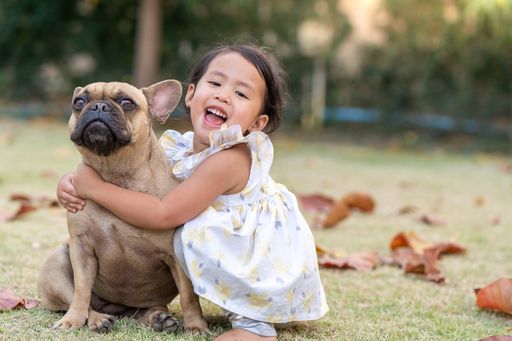 A small Asian female child laughing and cuddling her french bulldog