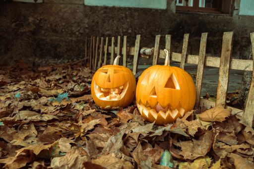 Halloween pumpkins on fallen leaves next to a fence, a Halloween background decoration.