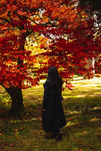 A woman in a black coat stands under vibrant red autumn leaves in a serene park setting.
