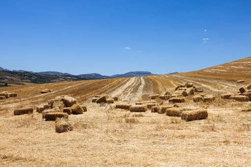 A view of haystacks in the field under the blue sky near Ronda, Andalusia, Spain