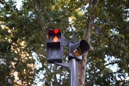 A low angle shot of traffic lights under the tree