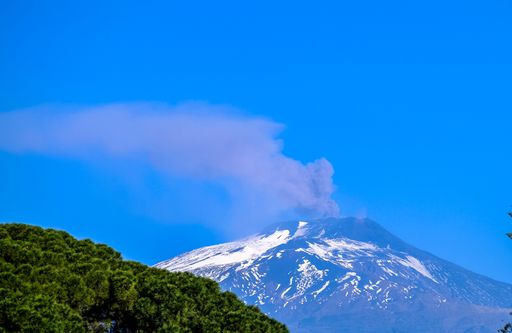 A beautiful shot of trees and snowy volcano in the distance with a clear blue sky in the background