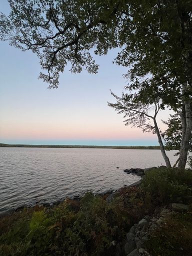 Tranquil lakeside view with silhouetted trees at sunset, calm water reflecting pastel sky hues.