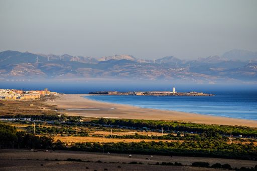 A beautiful shot of shoreline near the trees and mountain in the distance