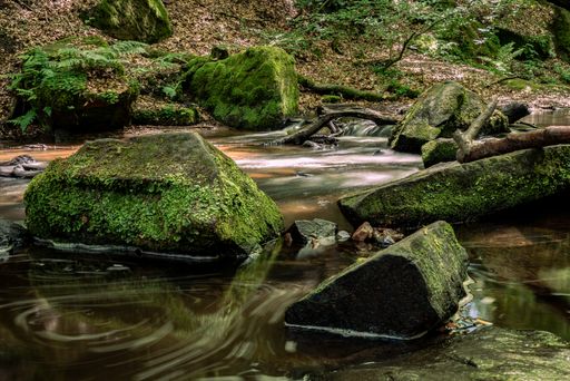 A closeup of mossy stones in a river