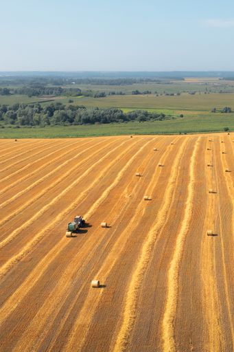 A vertical shot of rolled hays on a meadow under the sunlight in the countryside