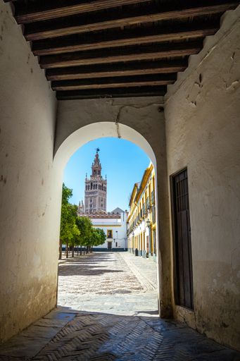 A vertical shot of Giralda Seville Spain