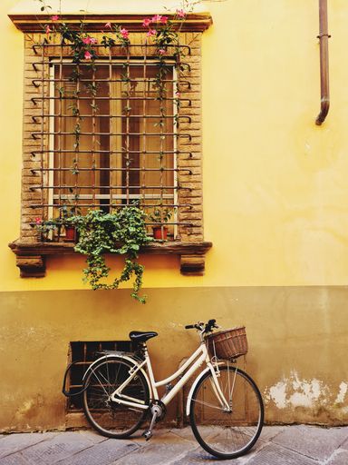 A bicycle with basket leaning under a window with flowers