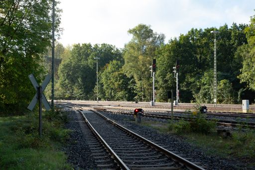 Two railroad tracks run towards each other and lead through a path in the forest.