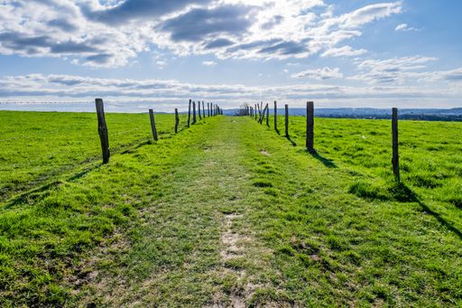 A vast green valley with a blue sky during daytime