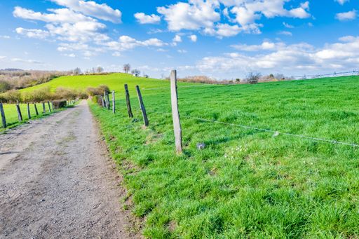 A path through a vast green valley during a sunny day