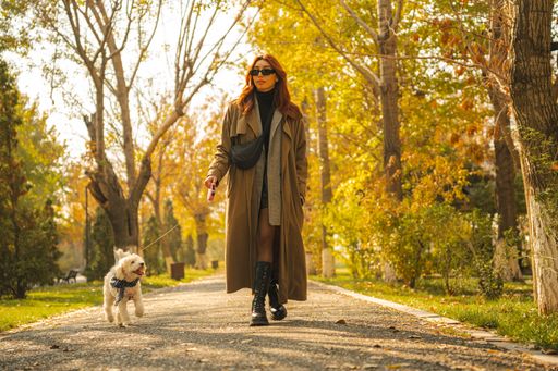 Woman in autumn coat walking a small dog in a sunny park, surrounded by vibrant fall foliage.