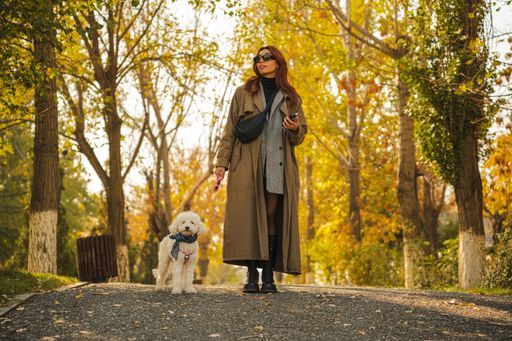 Young woman in autumn attire walking a fluffy dog in a park with vibrant fall foliage, holding a smartphone, enjoying a sunny day.