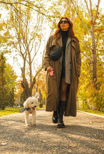 Young woman in autumn outfit walking a fluffy white dog in a sunny park, surrounded by colorful fall leaves.