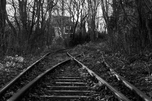 A grayscale shot of an abandoned railway surrounded by bare trees in an eerie forest - spooky railroad background