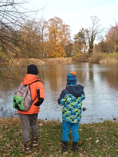 Children feeding ducks at Solacki Park in Poznan, Poland