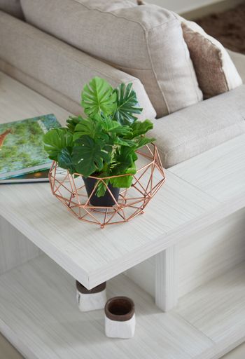 A top view closeup of tiny plants growing in beautiful decorative pots at home