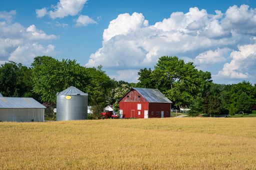 Rural midwest farm under summer blue sky and white clouds with red barn, metal silo and barn and wheat ready to harvest in field.