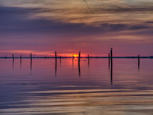 Serene sunset over a calm lake with silhouetted birds on poles, reflecting vibrant colors in the water.
