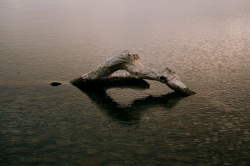 A serene scene of a driftwood log floating on calm water at sunset, creating a peaceful reflection.