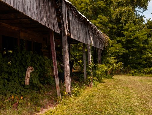 An old wooden horse stable in a garden covered in greenery under the sunlight