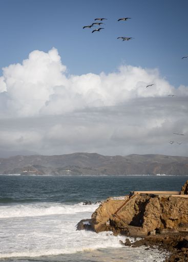 A scenic view of the Pacific Ocean with rocky shores and birds flying under a blue sky with clouds, near San Francisco.