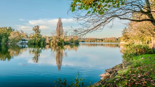 Tranquil lake scene with autumn trees and reflections in calm water under a clear sky.