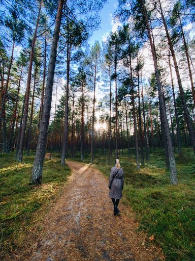 A woman walks through a sunlit forest path surrounded by tall trees under a blue sky, capturing the essence of nature and tranquility.