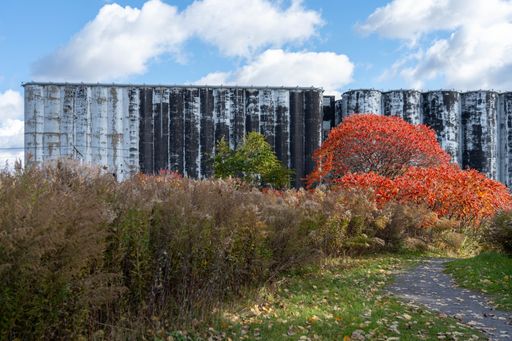 Industrial silos with vibrant autumn foliage in the foreground under a partly cloudy sky.