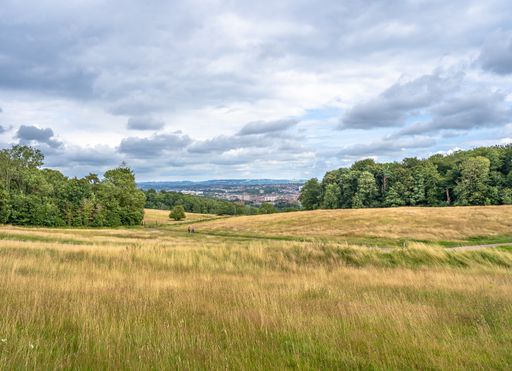 The cloudy sky over the golden field in Aston Park, Bristol