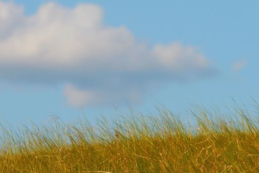 A beautiful green grassland under a breathtaking cloudy sky in Inner Mongolia