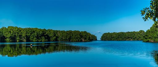 A beautiful scenery of a lake surrounded by a lot of green trees