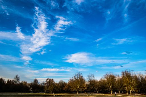 A beautiful scenery of a park with a lot of green trees under a cloudy sky