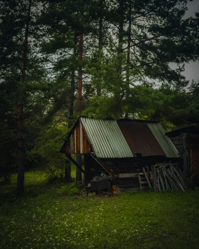 A vertical shot of the small village house in the middle of the forest.