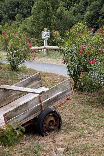 An old wooden cart with one wheel on grass near a road lined with pink flower bushes