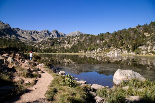 A scenic view of a mountain lake surrounded by pine forests and rocky peaks under a clear blue sky, with a child in the foreground.