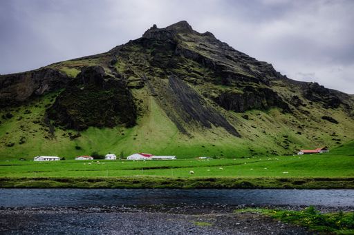 Scenic view of a lush green valley with sheep grazing, set against a dramatic mountain backdrop in Iceland under a cloudy sky.