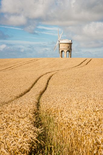 A vertical shot of a corn windmill in a wheat field under a blue cloudy sky in the countryside