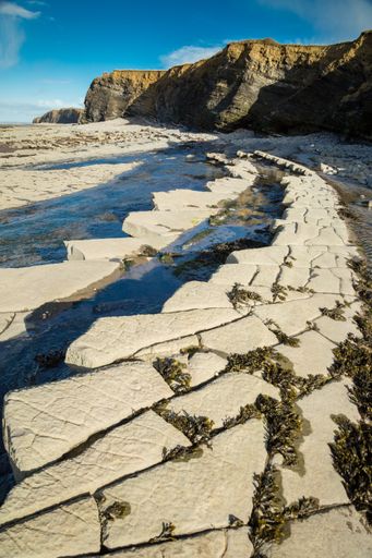 A vertical shot of the Kilve beach surrounded by cliffs under the sunlight in England, the UK