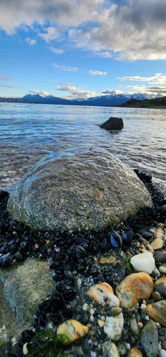 Serene coastal scene with rocks and shells in foreground, snowy mountains in the background under a vibrant blue sky.