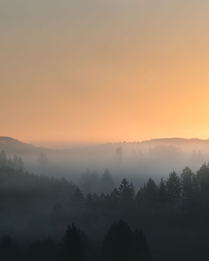 Misty forest landscape at sunrise with layers of trees and soft orange sky.