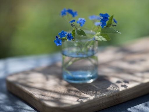 A small bouquet of blue forget-me-nots in a glass vase on a wooden board with a blurred natural background.