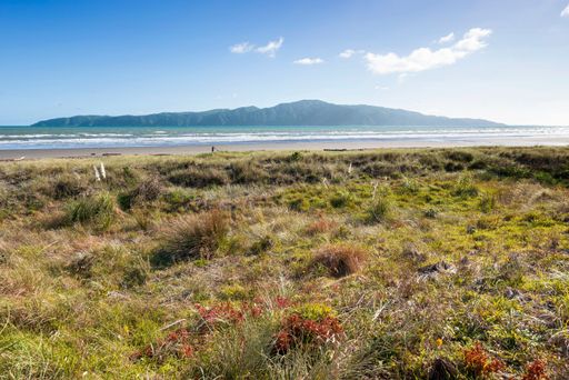 Scenic view of a grassy beach with distant mountains under a clear blue sky at Kapiti Coast, New Zealand.