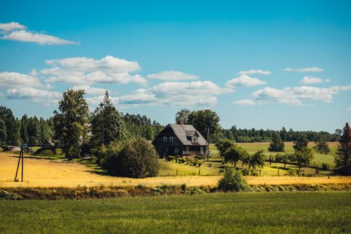 A wooden croft cottage on a grassy field surrounded by trees under a blue sky