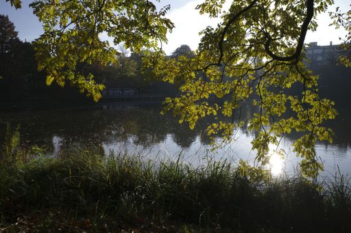 Tranquil lakeside scene with sunlight filtering through green leaves, reflecting on the water, creating a serene atmosphere.