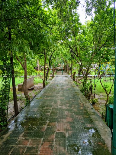 A vertical shot of vibrant greenery in a park with stone pavement in the middle on a rainy summer day