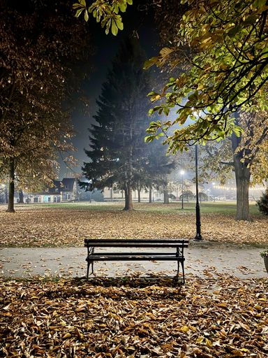 A serene park scene at night with a bench surrounded by autumn leaves under lamp posts and trees.